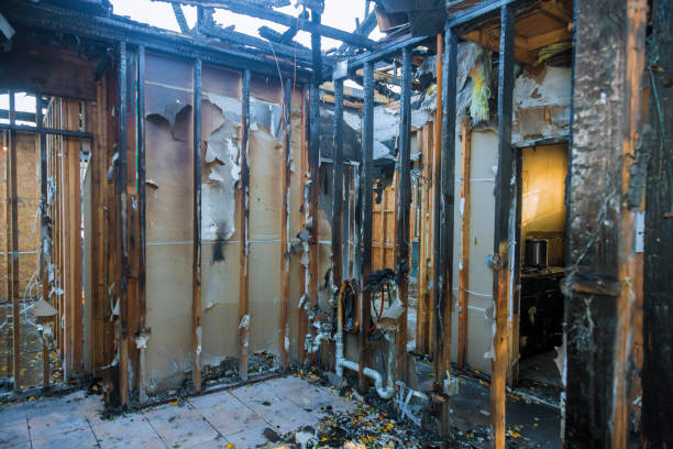 Professional Structural Rebuild technician working in Pomona, KS